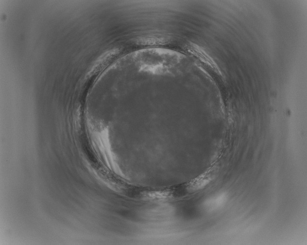 X0000072500163200608041450