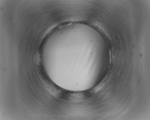 X0000072500164200608041450