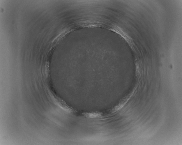 X0000072500165200608041450