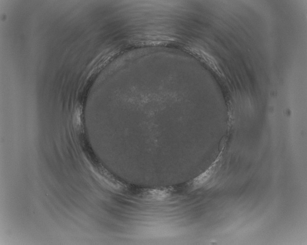 X0000072500166200608041450