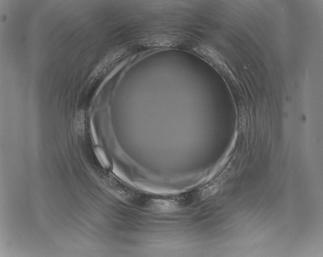 X0000072500167200608041450