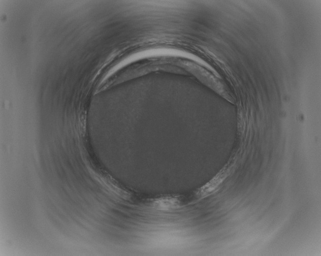 X0000072500168200608041450