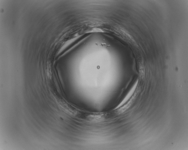 X0000072500170200608041450