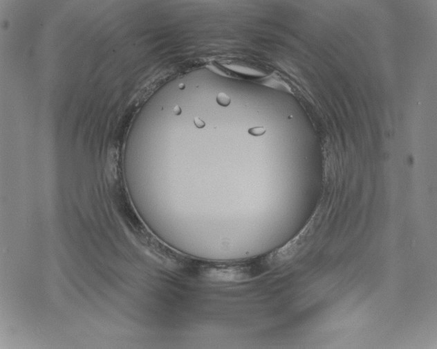 X0000072500171200608041450