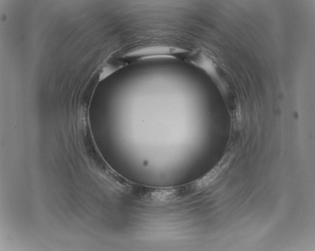 X0000072500172200608041450