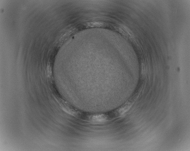 X0000072500173200608041450