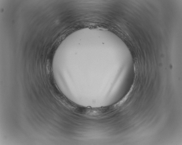 X0000072500174200608041450