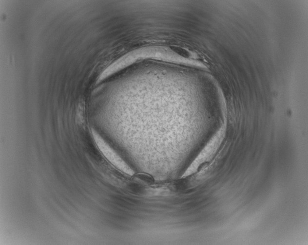 X0000072500175200608041450