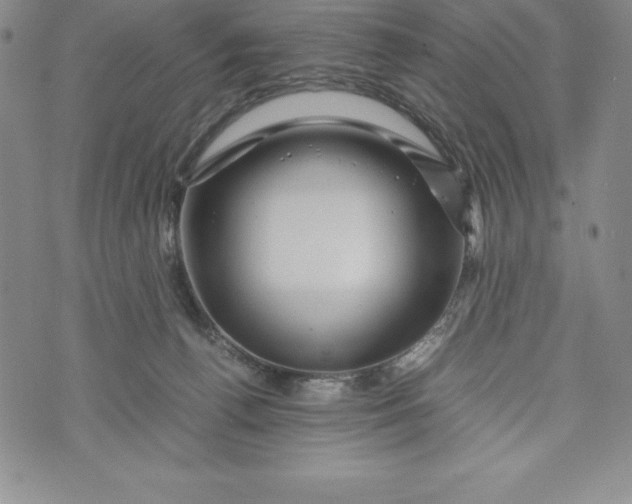 X0000072500176200608041450