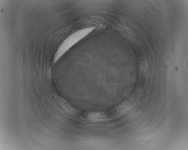 X0000072500177200608041450