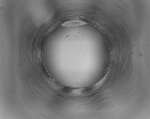 X0000072500178200608041450