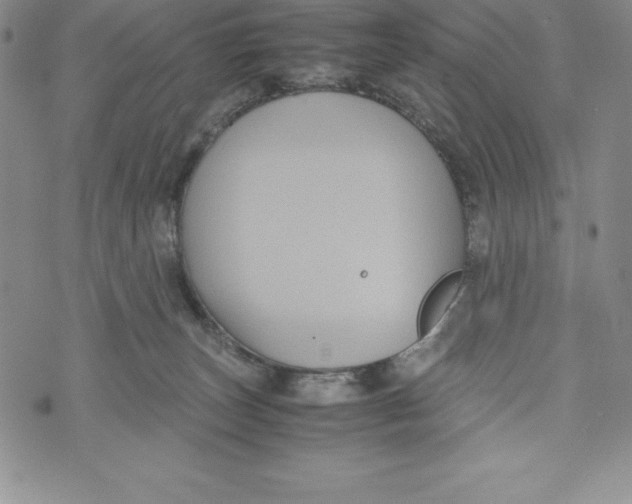 X0000072500179200608041450