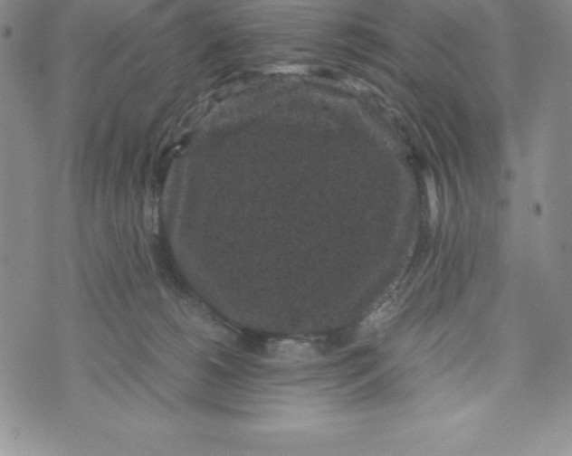 X0000072500180200608041450