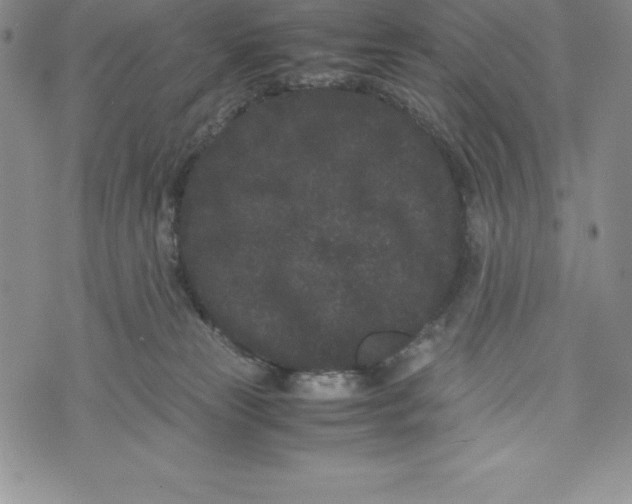 X0000072500181200608041450