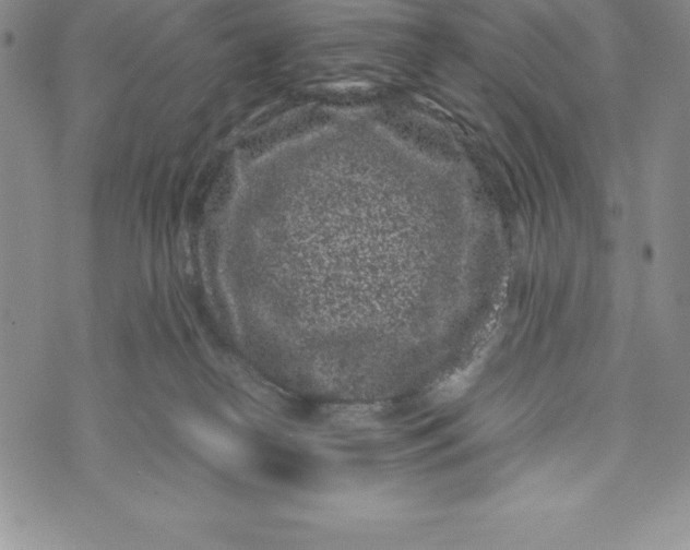 X0000072500182200608041450