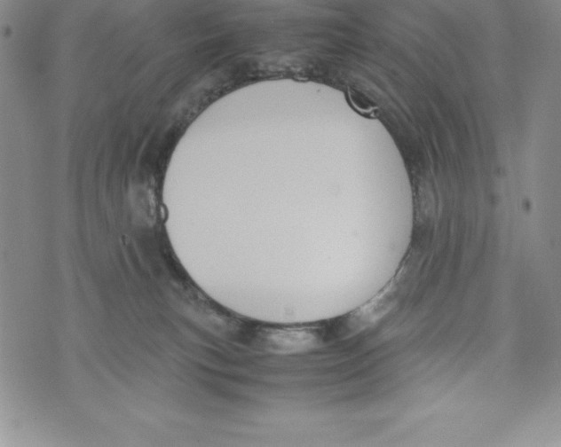 X0000072500183200608041450