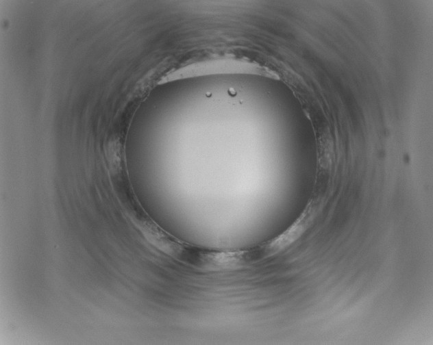 X0000072500184200608041450