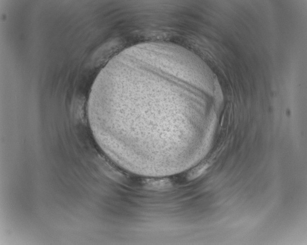 X0000072500185200608041450