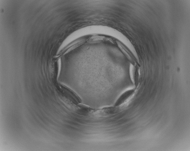 X0000072500186200608041450