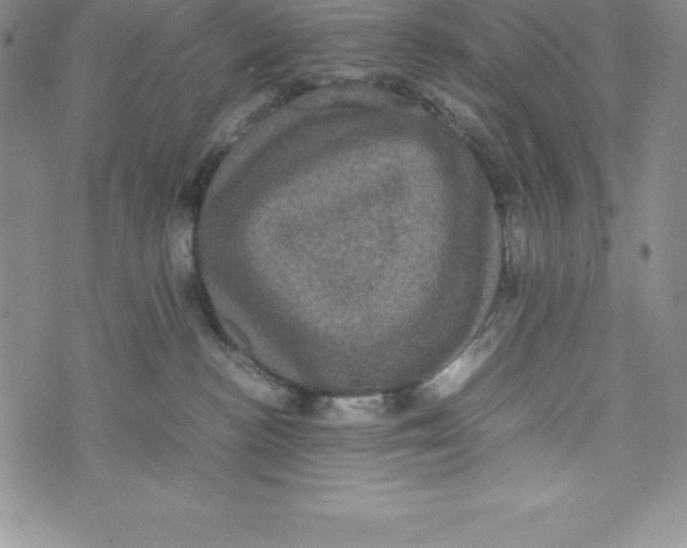 X0000072500188200608041450