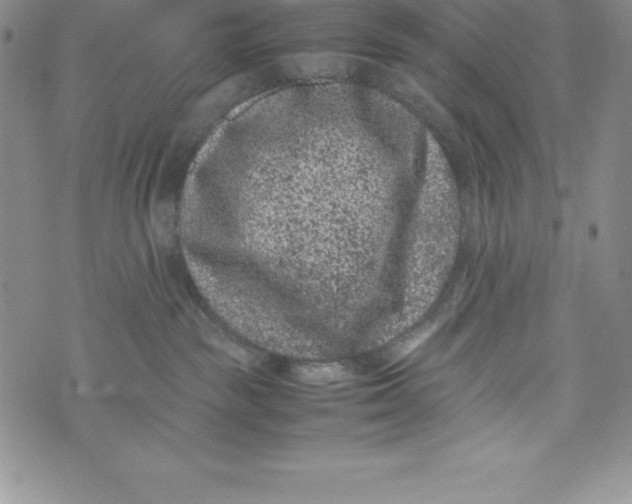 X0000072500189200608041450