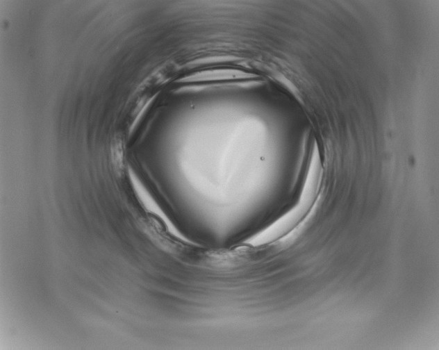 X0000072500190200608041450