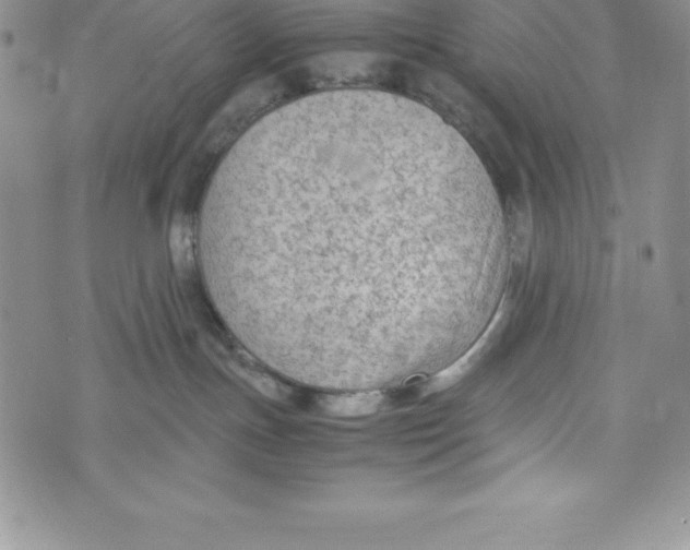 X0000072500191200608041450