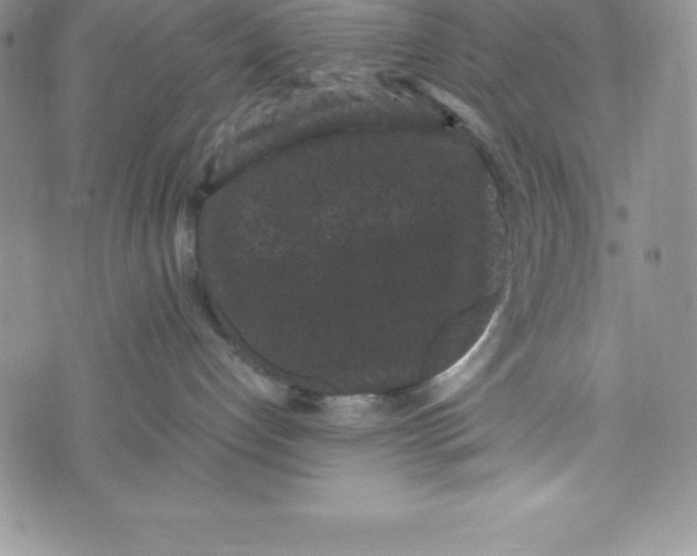 X0000072500192200608041450