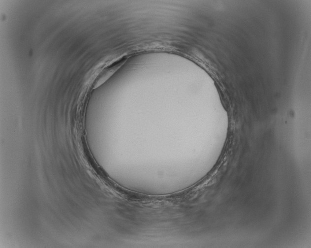 X0000072500193200608041450