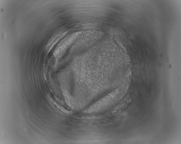 X0000072500194200608041450