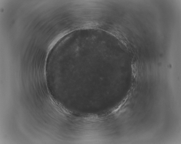 X0000072500196200608041450