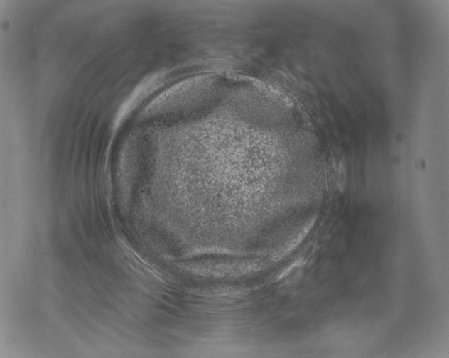 X0000072500198200608041450