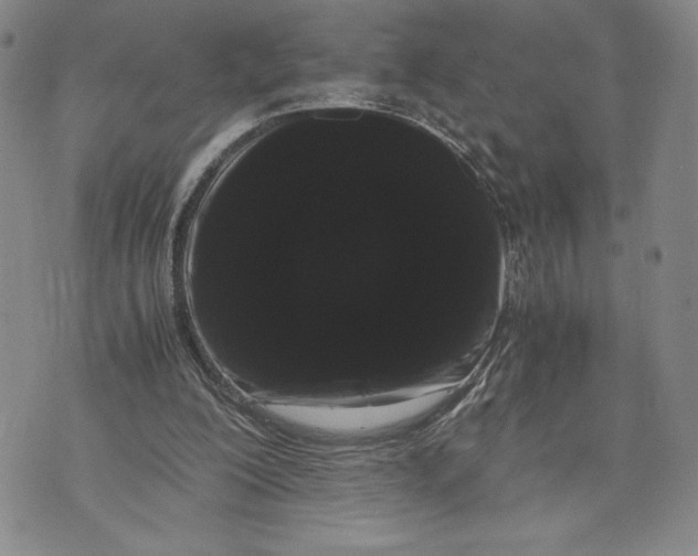 X0000072500200200608041450