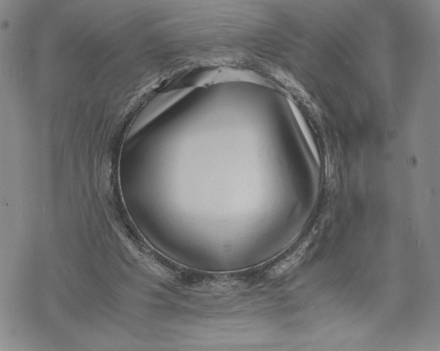 X0000072500201200608041450