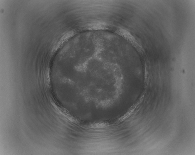 X0000072500202200608041450