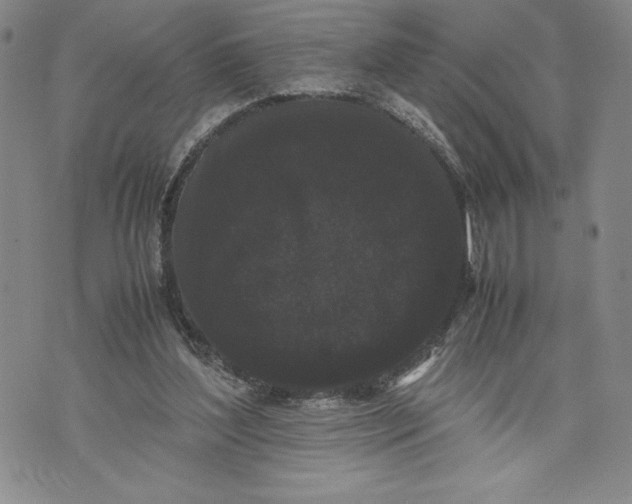 X0000072500204200608041449