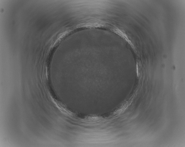 X0000072500205200608041449