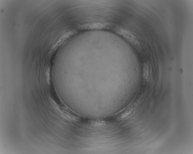 X0000072500206200608041449