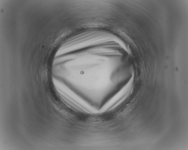 X0000072500207200608041449