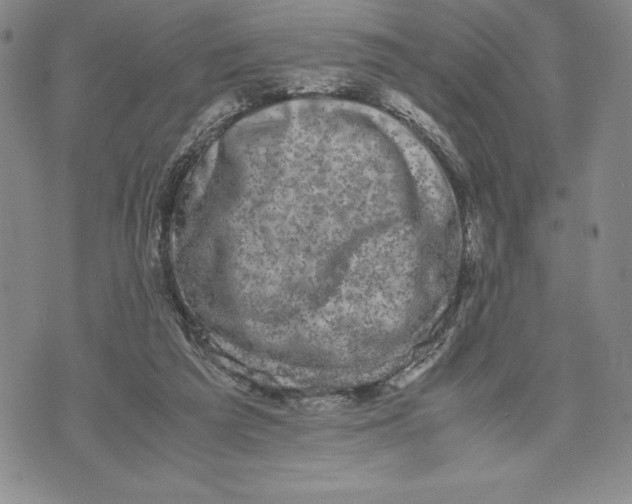 X0000072500209200608041449