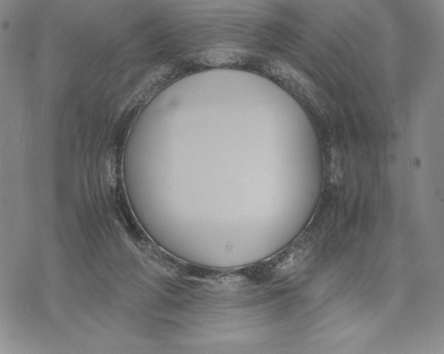 X0000072500210200608041449