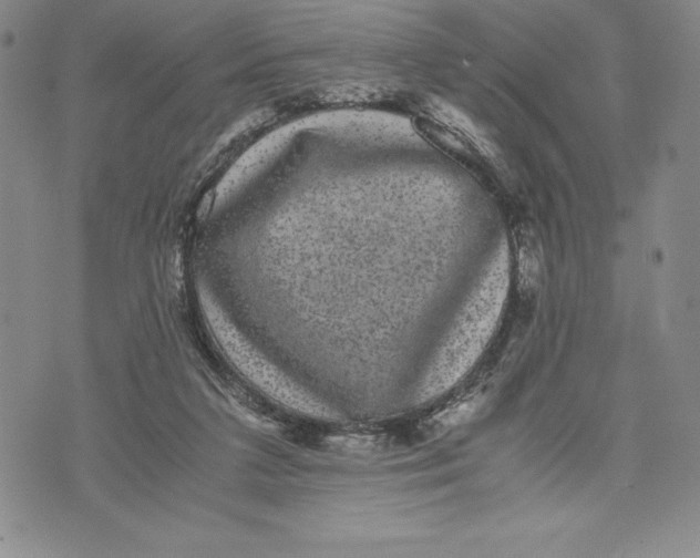 X0000072500211200608041449