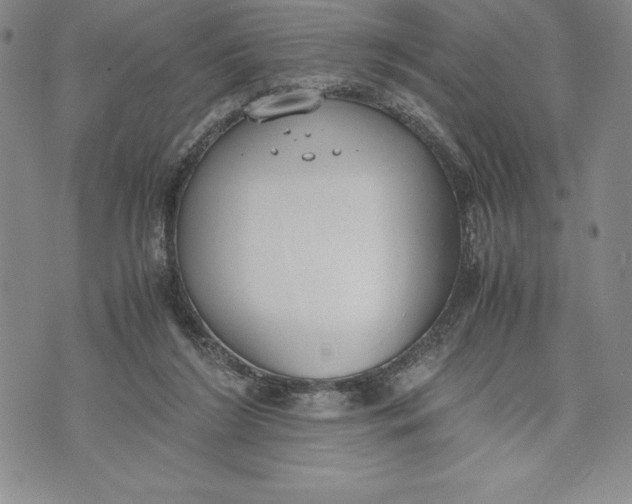 X0000072500212200608041449