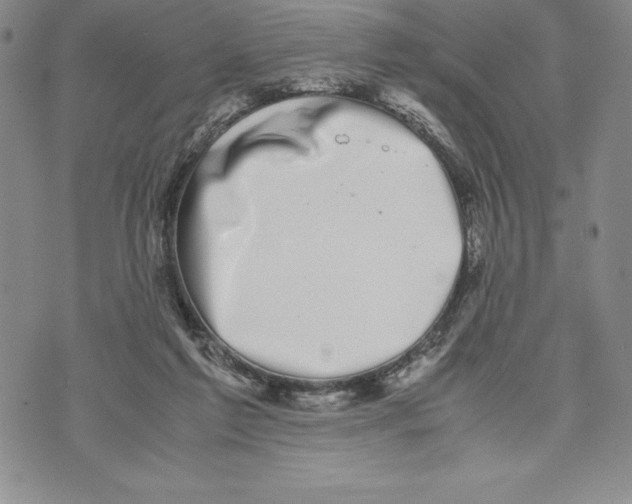 X0000072500213200608041449