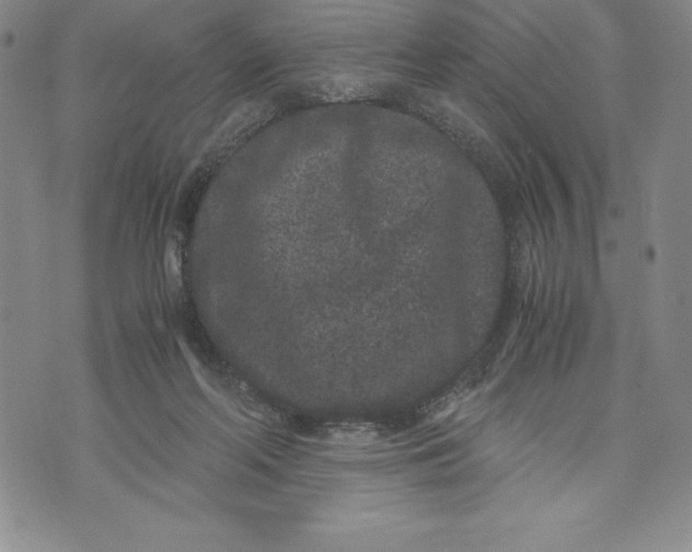 X0000072500214200608041449