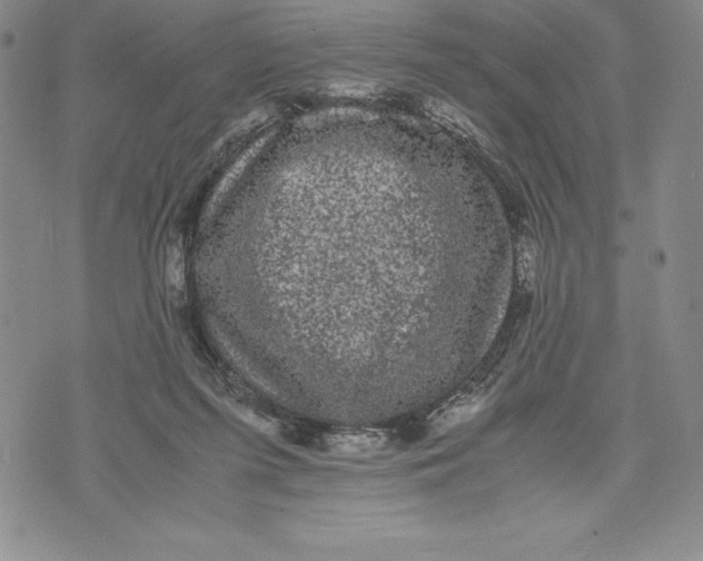 X0000072500215200608041449