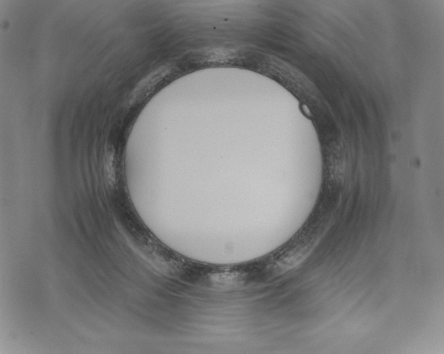 X0000072500216200608041449