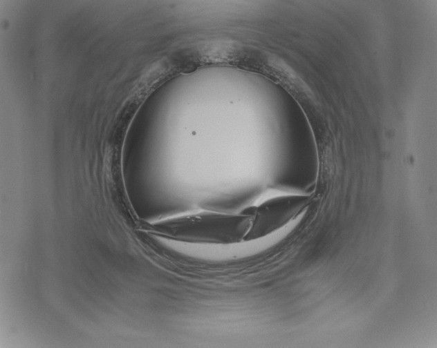 X0000072500217200608041449