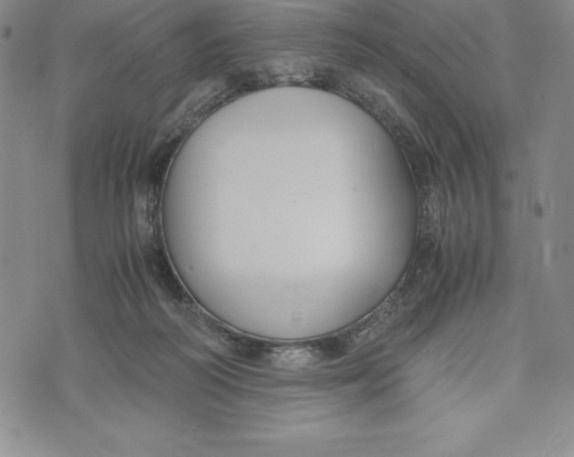 X0000072500218200608041449