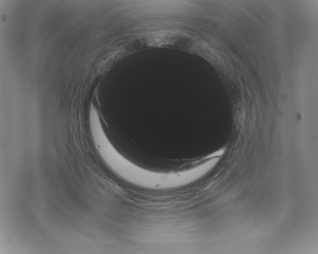 X0000072500219200608041449